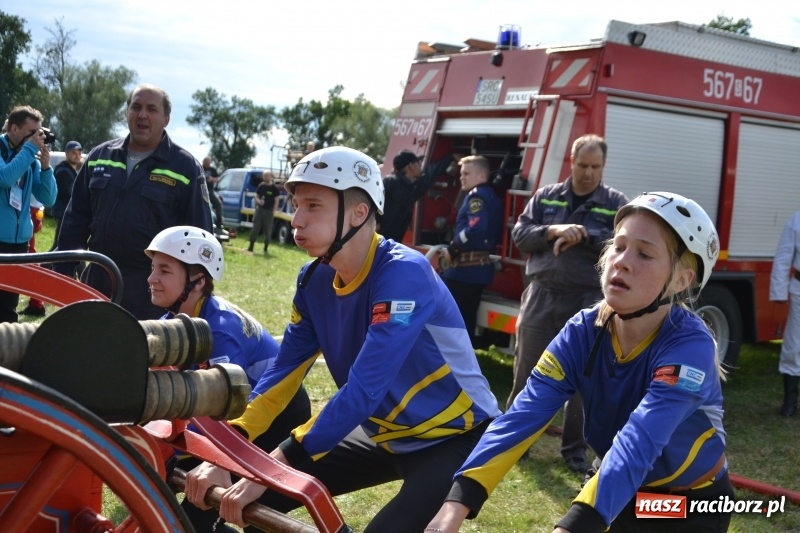 Zdjęcie w galerii na portalu naszraciborz.pl: Zawody sikawek konnych w Bieńkowicach. Sąsiedzi z Tworkowa zgarnęli dwa złota wiadomości z regionu