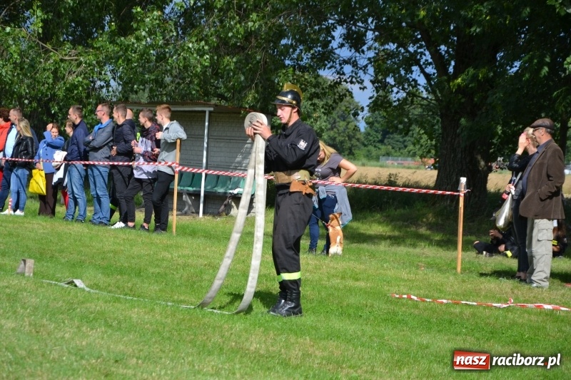 Zdjęcie w galerii na portalu naszraciborz.pl: Zawody sikawek konnych w Bieńkowicach. Sąsiedzi z Tworkowa zgarnęli dwa złota wiadomości z regionu
