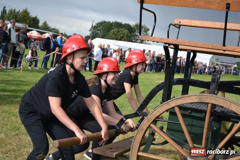Zdjęcie w galerii na portalu naszraciborz.pl: Zawody sikawek konnych w Bieńkowicach. Sąsiedzi z Tworkowa zgarnęli dwa złota wiadomości z regionu