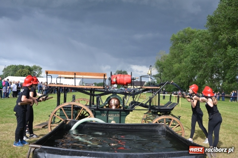 Zdjęcie w galerii na portalu naszraciborz.pl: Zawody sikawek konnych w Bieńkowicach. Sąsiedzi z Tworkowa zgarnęli dwa złota wiadomości z regionu