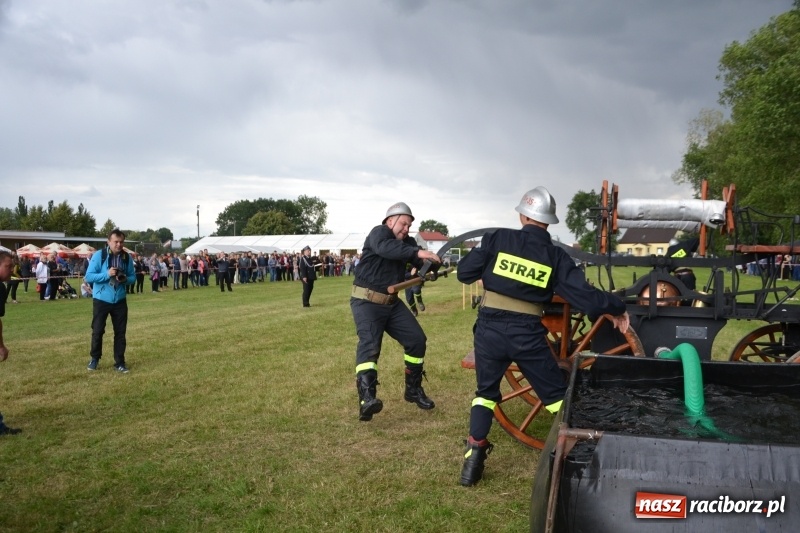 Zdjęcie w galerii na portalu naszraciborz.pl: Zawody sikawek konnych w Bieńkowicach. Sąsiedzi z Tworkowa zgarnęli dwa złota wiadomości z regionu