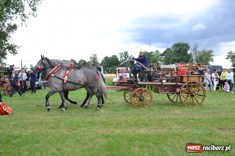 Zdjęcie w galerii na portalu naszraciborz.pl: Zawody sikawek konnych w Bieńkowicach. Sąsiedzi z Tworkowa zgarnęli dwa złota wiadomości z regionu