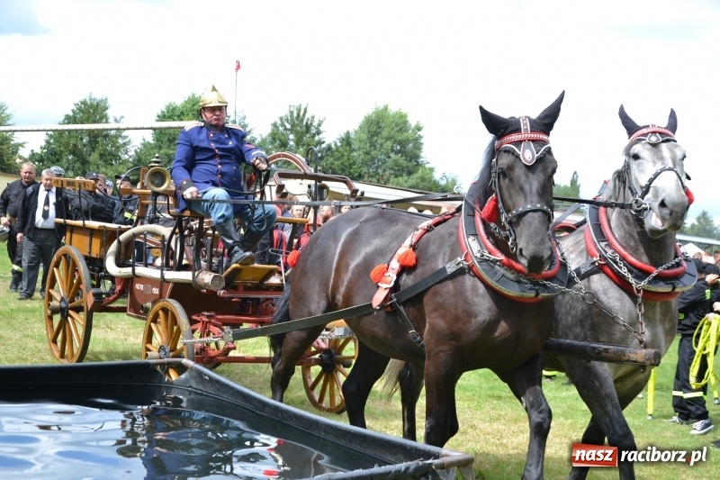 Zdjęcie w galerii na portalu naszraciborz.pl: Zawody sikawek konnych w Bieńkowicach. Sąsiedzi z Tworkowa zgarnęli dwa złota wiadomości z regionu