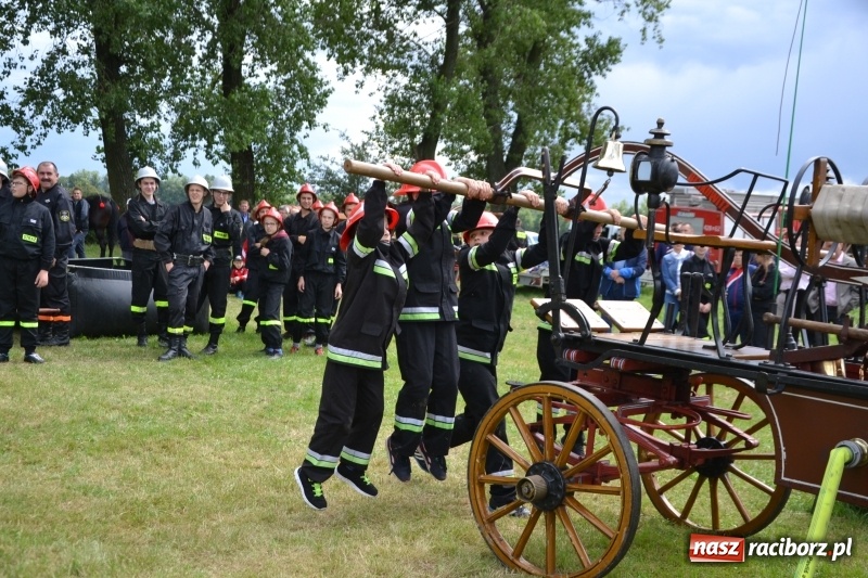 Zdjęcie w galerii na portalu naszraciborz.pl: Zawody sikawek konnych w Bieńkowicach. Sąsiedzi z Tworkowa zgarnęli dwa złota wiadomości z regionu