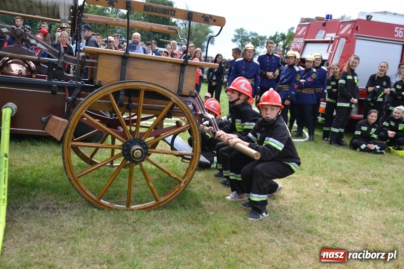 Zdjęcie w galerii na portalu naszraciborz.pl: Zawody sikawek konnych w Bieńkowicach. Sąsiedzi z Tworkowa zgarnęli dwa złota wiadomości z regionu