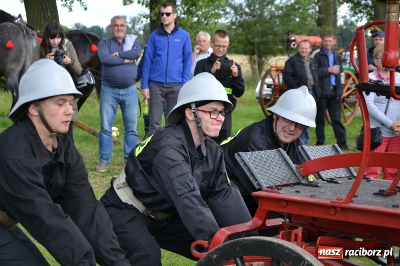 Zdjęcie w galerii na portalu naszraciborz.pl: Zawody sikawek konnych w Bieńkowicach. Sąsiedzi z Tworkowa zgarnęli dwa złota wiadomości z regionu