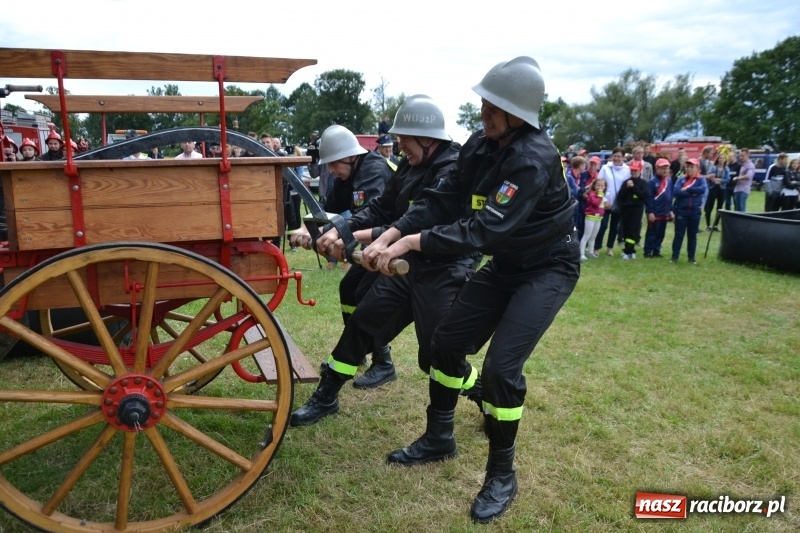Zdjęcie w galerii na portalu naszraciborz.pl: Zawody sikawek konnych w Bieńkowicach. Sąsiedzi z Tworkowa zgarnęli dwa złota wiadomości z regionu