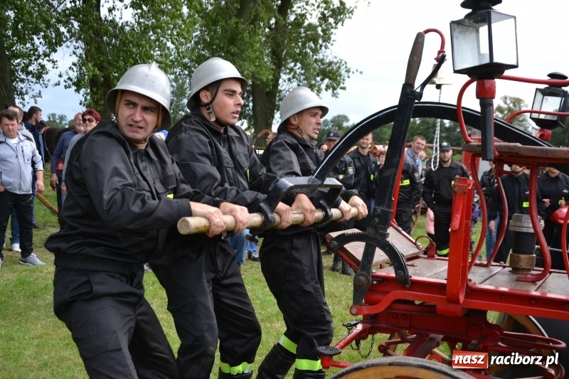 Zdjęcie w galerii na portalu naszraciborz.pl: Zawody sikawek konnych w Bieńkowicach. Sąsiedzi z Tworkowa zgarnęli dwa złota wiadomości z regionu