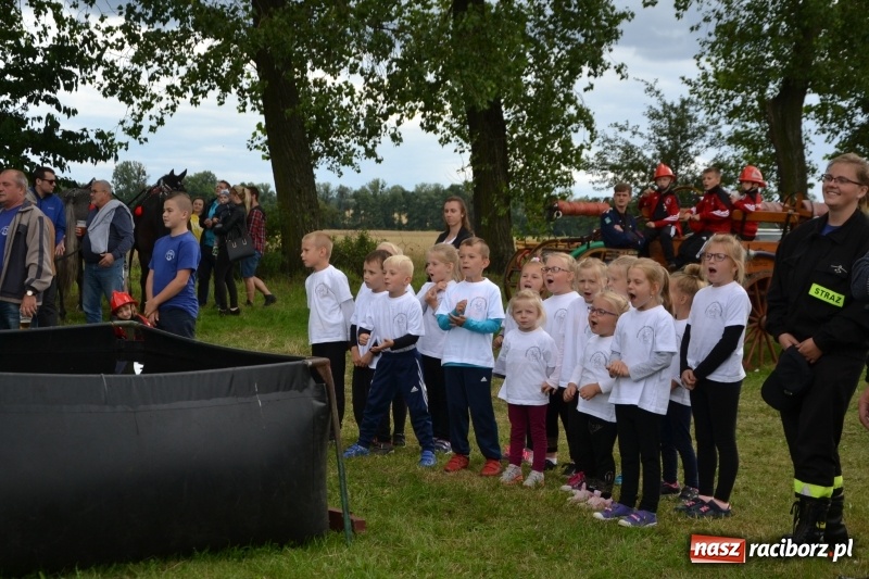 Zdjęcie w galerii na portalu naszraciborz.pl: Zawody sikawek konnych w Bieńkowicach. Sąsiedzi z Tworkowa zgarnęli dwa złota wiadomości z regionu