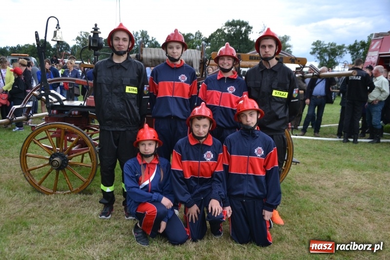 Zdjęcie w galerii na portalu naszraciborz.pl: Zawody sikawek konnych w Bieńkowicach. Sąsiedzi z Tworkowa zgarnęli dwa złota wiadomości z regionu