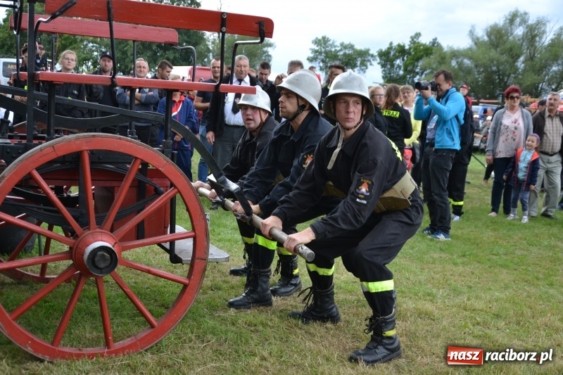 Zdjęcie w galerii na portalu naszraciborz.pl: Zawody sikawek konnych w Bieńkowicach. Sąsiedzi z Tworkowa zgarnęli dwa złota wiadomości z regionu