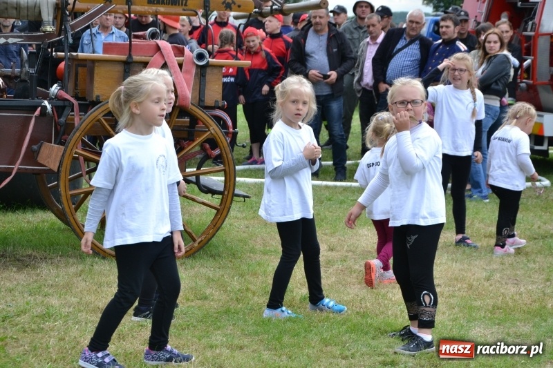 Zdjęcie w galerii na portalu naszraciborz.pl: Zawody sikawek konnych w Bieńkowicach. Sąsiedzi z Tworkowa zgarnęli dwa złota wiadomości z regionu