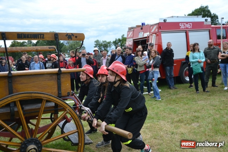 Zdjęcie w galerii na portalu naszraciborz.pl: Zawody sikawek konnych w Bieńkowicach. Sąsiedzi z Tworkowa zgarnęli dwa złota wiadomości z regionu