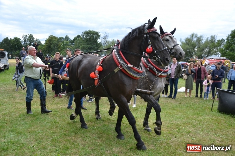 Zdjęcie w galerii na portalu naszraciborz.pl: Zawody sikawek konnych w Bieńkowicach. Sąsiedzi z Tworkowa zgarnęli dwa złota wiadomości z regionu