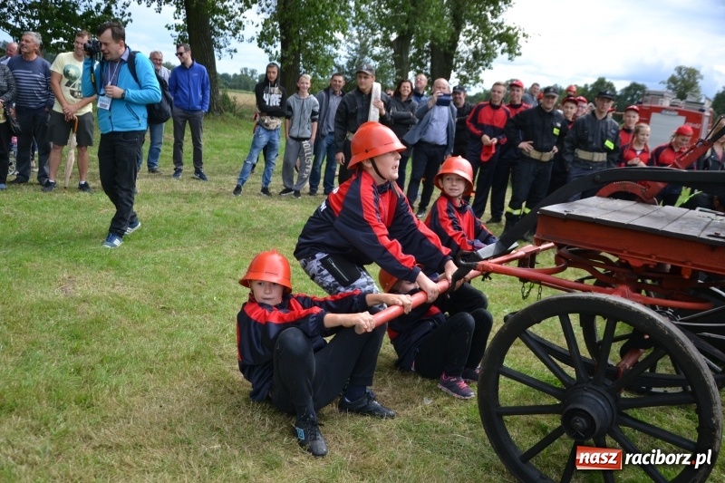 Zdjęcie w galerii na portalu naszraciborz.pl: Zawody sikawek konnych w Bieńkowicach. Sąsiedzi z Tworkowa zgarnęli dwa złota wiadomości z regionu