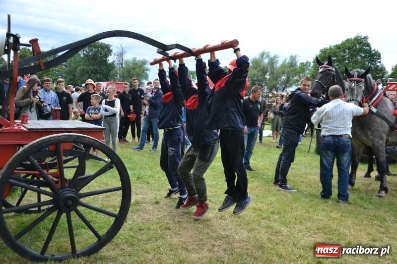 Zdjęcie w galerii na portalu naszraciborz.pl: Zawody sikawek konnych w Bieńkowicach. Sąsiedzi z Tworkowa zgarnęli dwa złota wiadomości z regionu