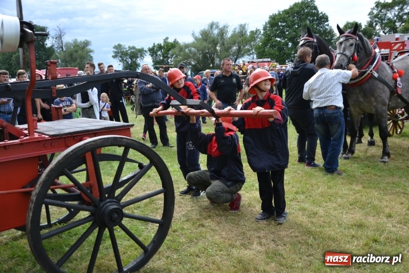 Zdjęcie w galerii na portalu naszraciborz.pl: Zawody sikawek konnych w Bieńkowicach. Sąsiedzi z Tworkowa zgarnęli dwa złota wiadomości z regionu