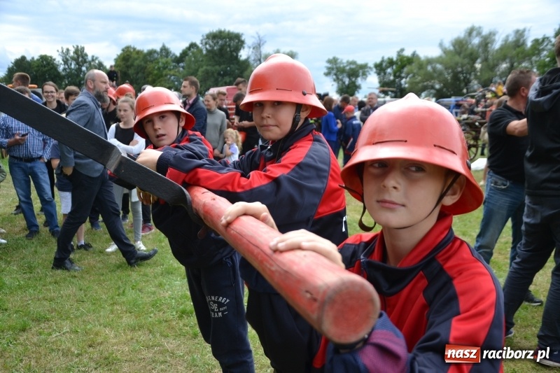 Zdjęcie w galerii na portalu naszraciborz.pl: Zawody sikawek konnych w Bieńkowicach. Sąsiedzi z Tworkowa zgarnęli dwa złota wiadomości z regionu