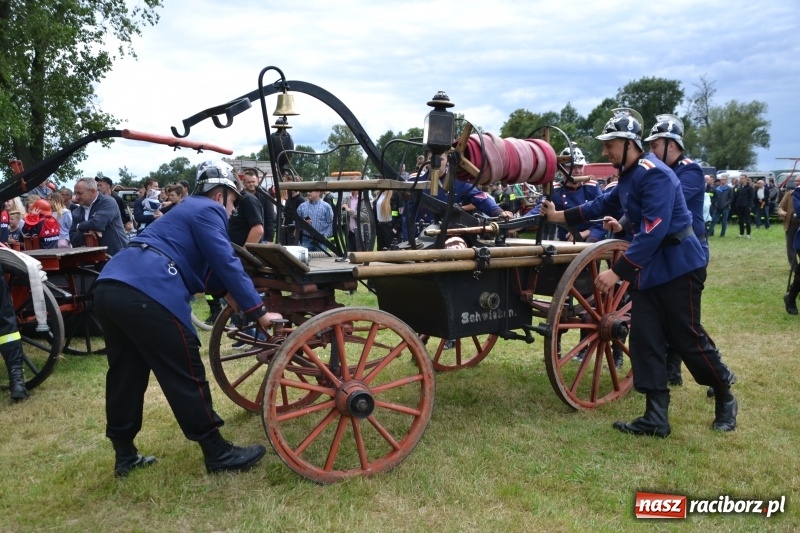 Zdjęcie w galerii na portalu naszraciborz.pl: Zawody sikawek konnych w Bieńkowicach. Sąsiedzi z Tworkowa zgarnęli dwa złota wiadomości z regionu