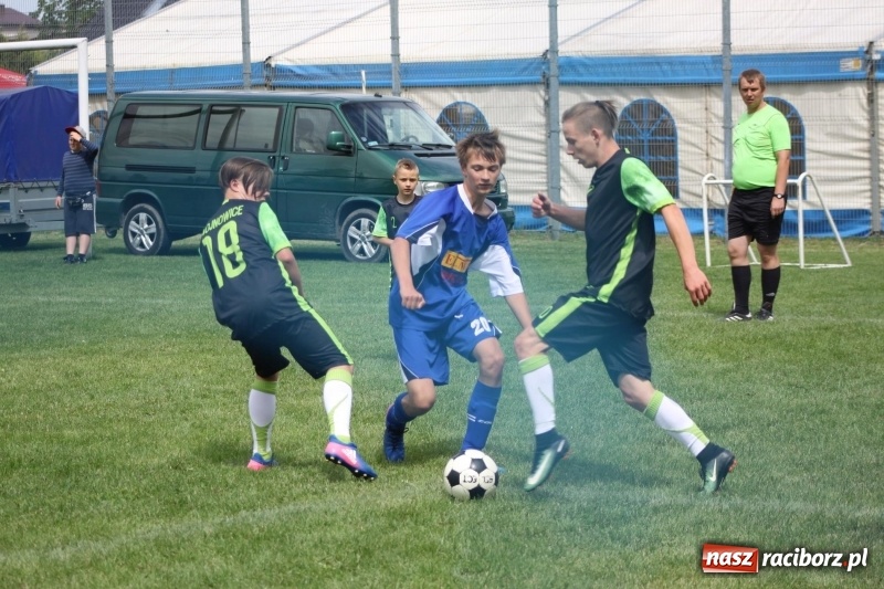 Zdjęcie w galerii na portalu naszraciborz.pl: Piłkarze Krzanowic z Pucharem Prezesa LKS Cyprzanów wiadomości z regionu