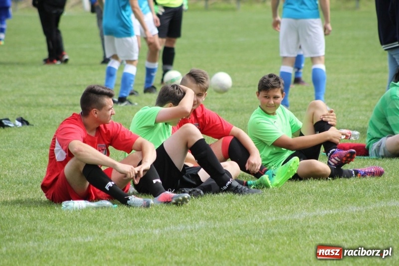 Zdjęcie w galerii na portalu naszraciborz.pl: Piłkarze Krzanowic z Pucharem Prezesa LKS Cyprzanów wiadomości z regionu