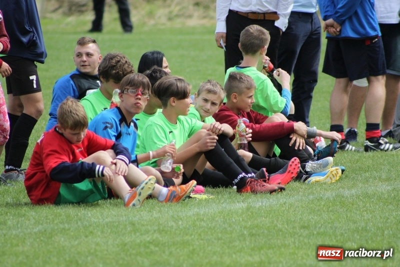 Zdjęcie w galerii na portalu naszraciborz.pl: Piłkarze Krzanowic z Pucharem Prezesa LKS Cyprzanów wiadomości z regionu
