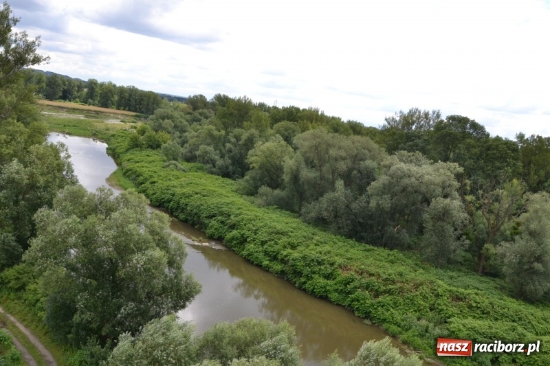 Zdjęcie w galerii na portalu naszraciborz.pl: Meander Orient Express dla rozbitków  wiadomości z regionu