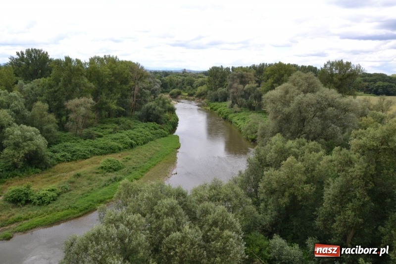 Zdjęcie w galerii na portalu naszraciborz.pl: Meander Orient Express dla rozbitków  wiadomości z regionu
