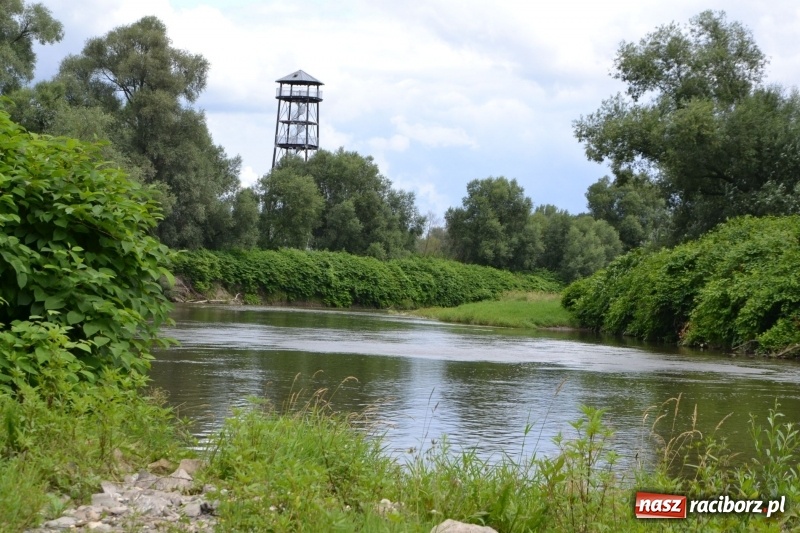 Zdjęcie w galerii na portalu naszraciborz.pl: Meander Orient Express dla rozbitków  wiadomości z regionu