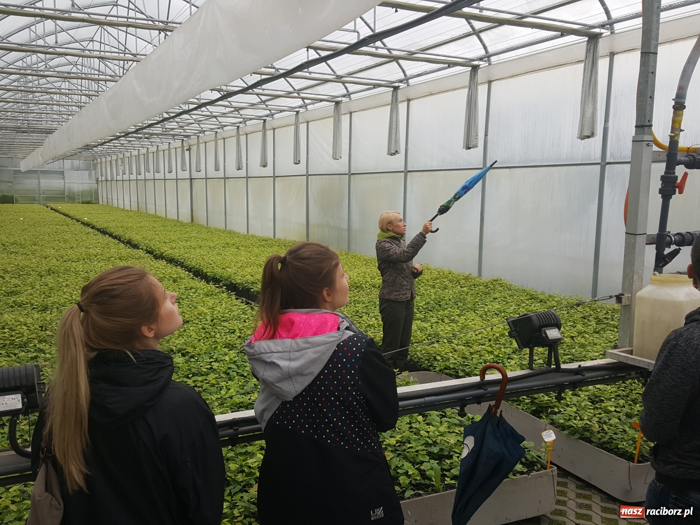 Zdjęcie w galerii na portalu naszraciborz.pl: Współpraca PWSZ w Raciborzu z Nadleśnictwem Rudy Raciborskie  wiadomości z regionu