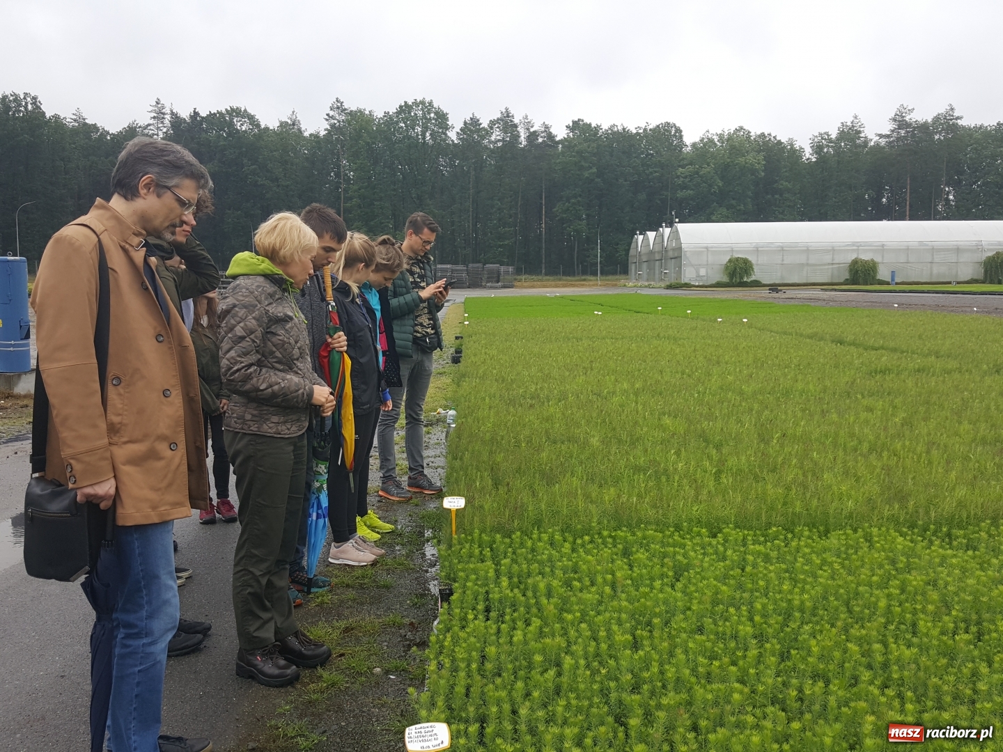 Zdjęcie w galerii na portalu naszraciborz.pl: Współpraca PWSZ w Raciborzu z Nadleśnictwem Rudy Raciborskie  wiadomości z regionu