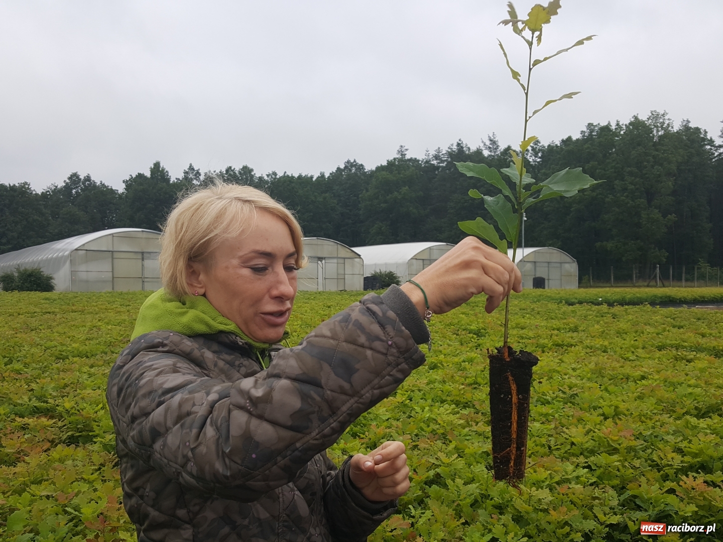 Zdjęcie w galerii na portalu naszraciborz.pl: Współpraca PWSZ w Raciborzu z Nadleśnictwem Rudy Raciborskie  wiadomości z regionu