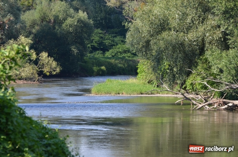 Zdjęcie w galerii na portalu naszraciborz.pl: Wodniackie lato z raciborskiej OSiRem  wiadomości z regionu