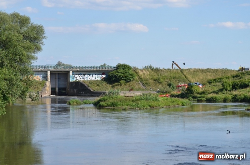 Zdjęcie w galerii na portalu naszraciborz.pl: Wodniackie lato z raciborskiej OSiRem  wiadomości z regionu