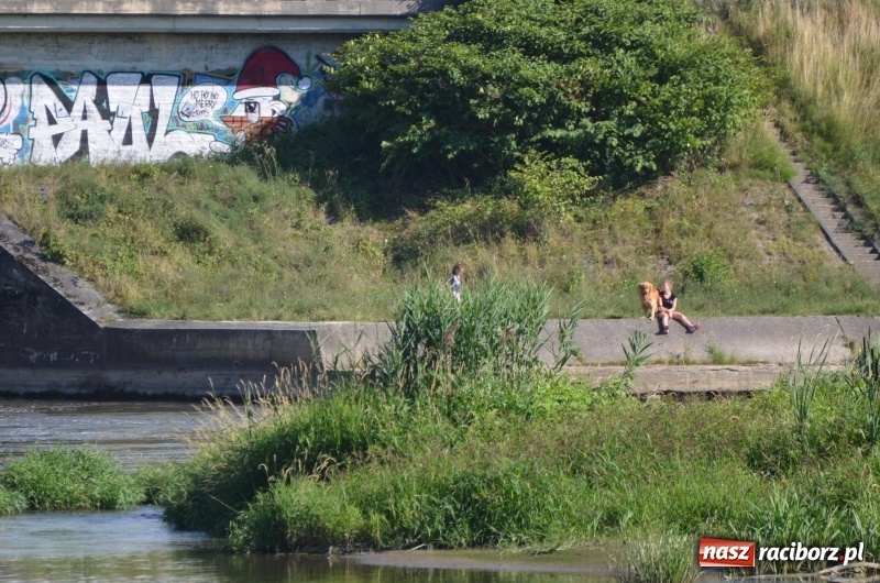 Zdjęcie w galerii na portalu naszraciborz.pl: Wodniackie lato z raciborskiej OSiRem  wiadomości z regionu
