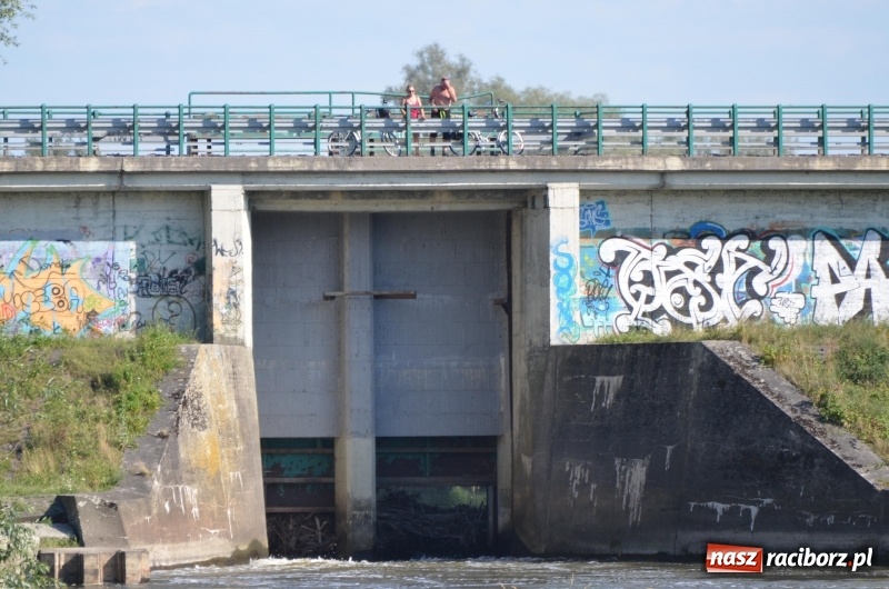 Zdjęcie w galerii na portalu naszraciborz.pl: Wodniackie lato z raciborskiej OSiRem  wiadomości z regionu