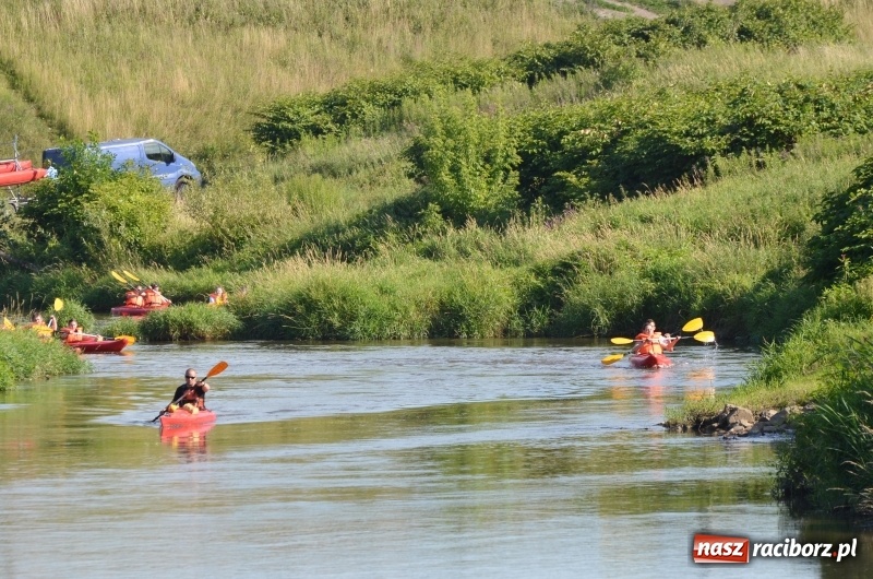 Zdjęcie w galerii na portalu naszraciborz.pl: Wodniackie lato z raciborskiej OSiRem  wiadomości z regionu