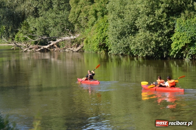 Zdjęcie w galerii na portalu naszraciborz.pl: Wodniackie lato z raciborskiej OSiRem  wiadomości z regionu