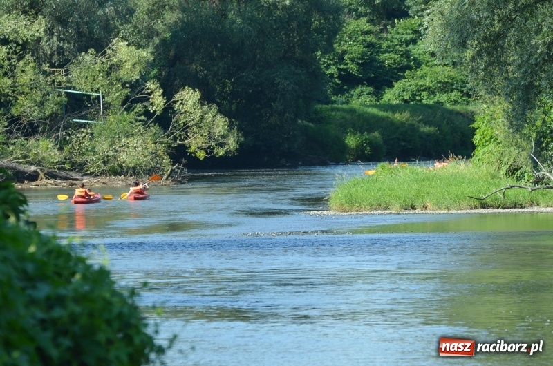 Zdjęcie w galerii na portalu naszraciborz.pl: Wodniackie lato z raciborskiej OSiRem  wiadomości z regionu