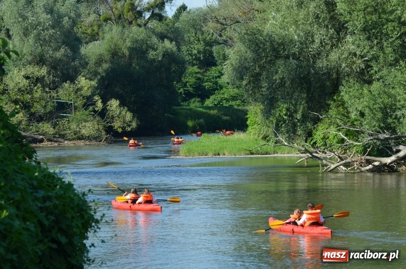 Zdjęcie w galerii na portalu naszraciborz.pl: Wodniackie lato z raciborskiej OSiRem  wiadomości z regionu