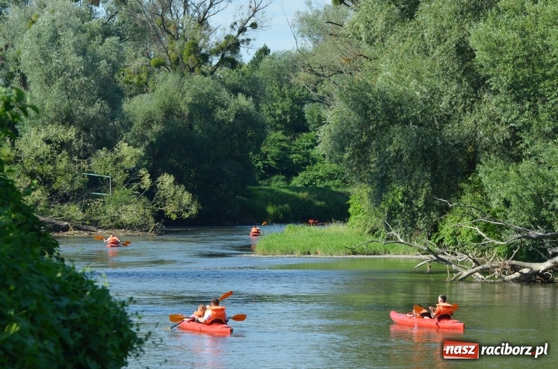 Zdjęcie w galerii na portalu naszraciborz.pl: Wodniackie lato z raciborskiej OSiRem  wiadomości z regionu