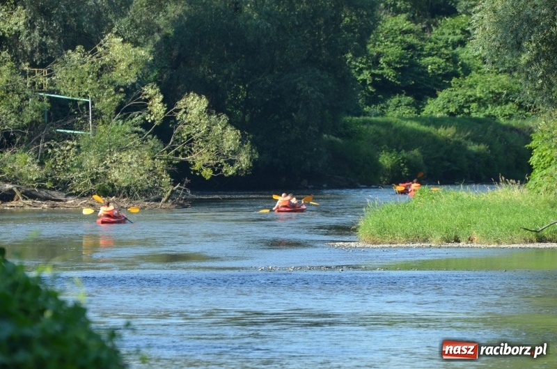 Zdjęcie w galerii na portalu naszraciborz.pl: Wodniackie lato z raciborskiej OSiRem  wiadomości z regionu