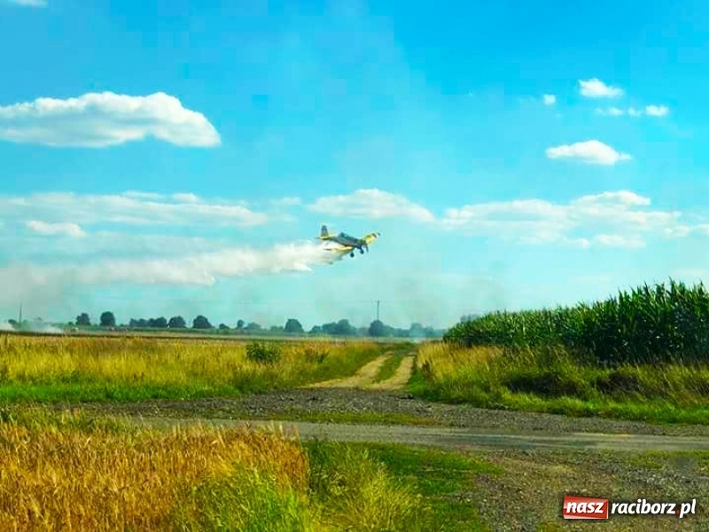Zdjęcie w galerii na portalu naszraciborz.pl: Pożar zboża w miejscowości Ruda. W akcji wykorzystano samolot gaśniczy  wiadomości z regionu