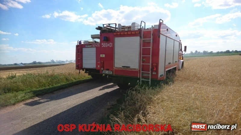 Zdjęcie w galerii na portalu naszraciborz.pl: Pożar zboża w miejscowości Ruda. W akcji wykorzystano samolot gaśniczy  wiadomości z regionu