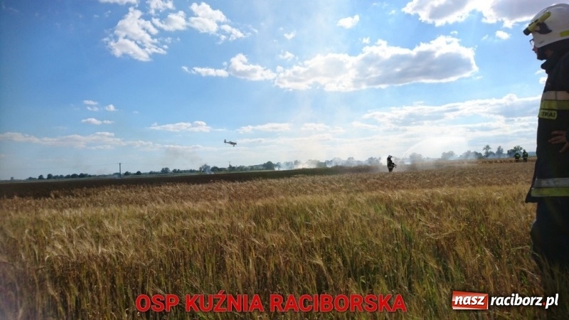 Zdjęcie w galerii na portalu naszraciborz.pl: Pożar zboża w miejscowości Ruda. W akcji wykorzystano samolot gaśniczy  wiadomości z regionu