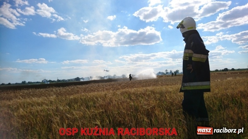 Zdjęcie w galerii na portalu naszraciborz.pl: Pożar zboża w miejscowości Ruda. W akcji wykorzystano samolot gaśniczy  wiadomości z regionu