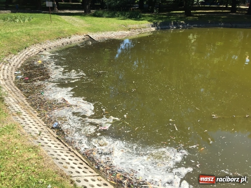 Zdjęcie w galerii na portalu naszraciborz.pl: Park Roth. Piękne miejsce, ale pełne śmieci  wiadomości z regionu