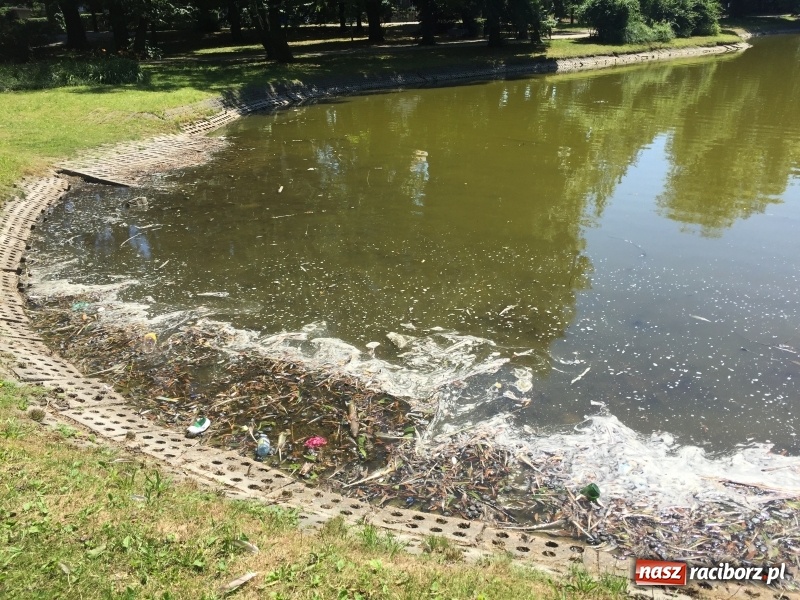 Zdjęcie w galerii na portalu naszraciborz.pl: Park Roth. Piękne miejsce, ale pełne śmieci  wiadomości z regionu