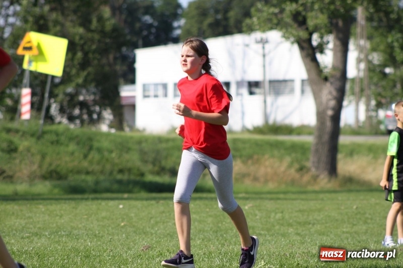 Zdjęcie w galerii na portalu naszraciborz.pl: Gmina Pietrowice Wielkie zorganizowała rozgrywki w piłce palantowej  wiadomości z regionu