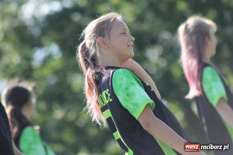 Zdjęcie w galerii na portalu naszraciborz.pl: Gmina Pietrowice Wielkie zorganizowała rozgrywki w piłce palantowej  wiadomości z regionu